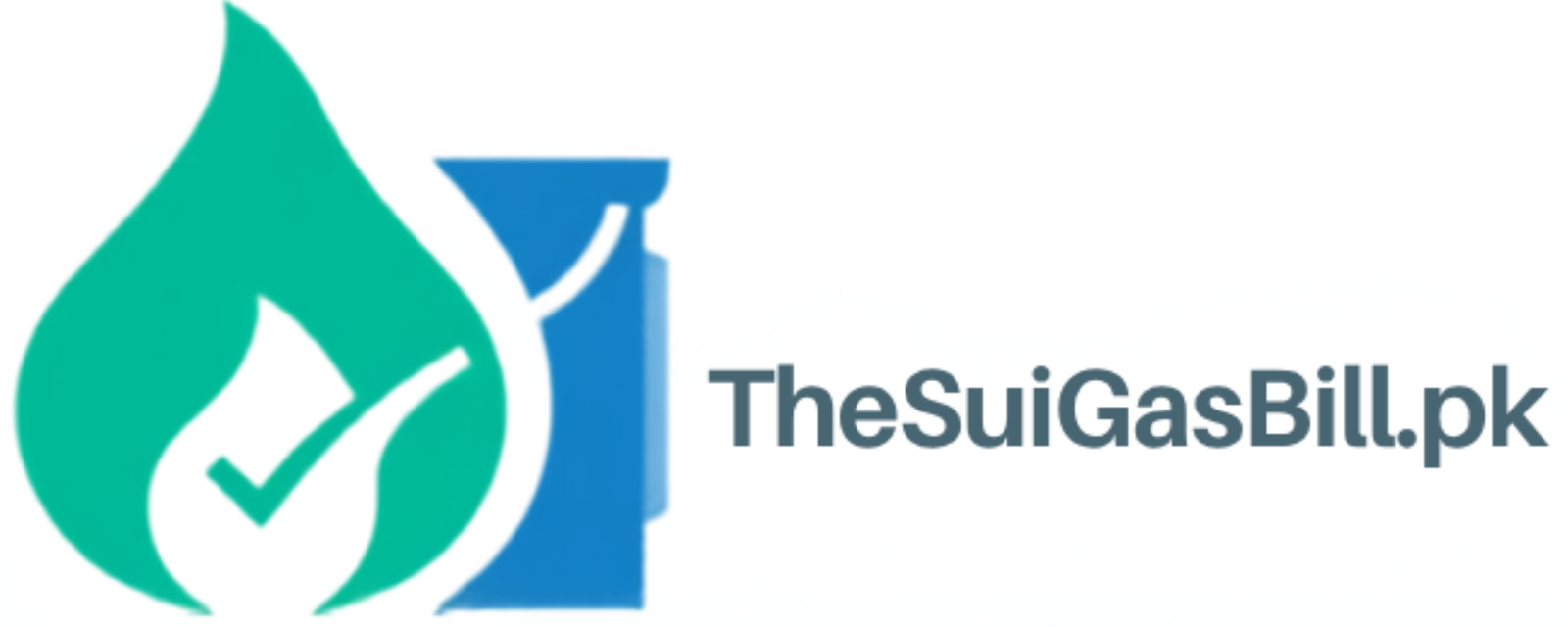 thesuigasbill.pk